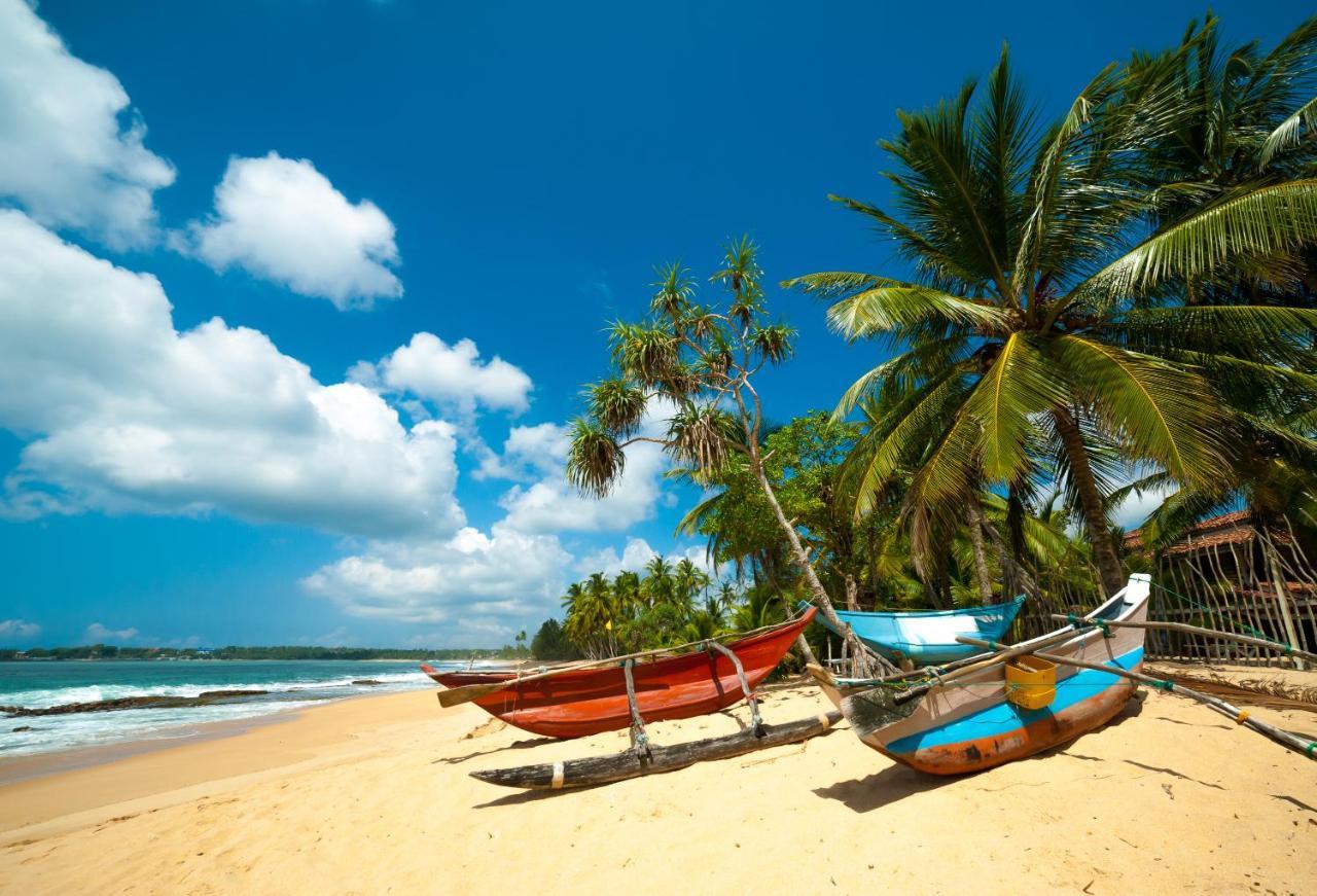 Aloevera Villa Negombo Exterior foto